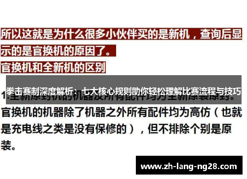 拳击赛制深度解析：七大核心规则助你轻松理解比赛流程与技巧