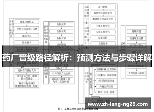 药厂晋级路径解析：预测方法与步骤详解